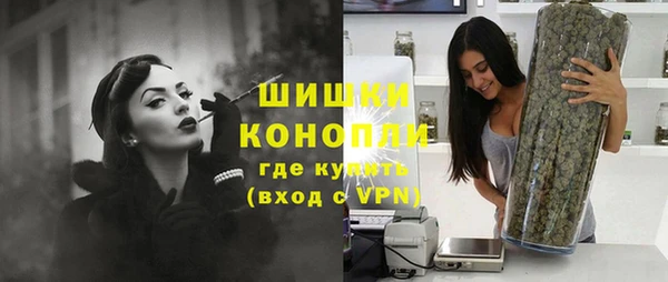 дживик Мегион