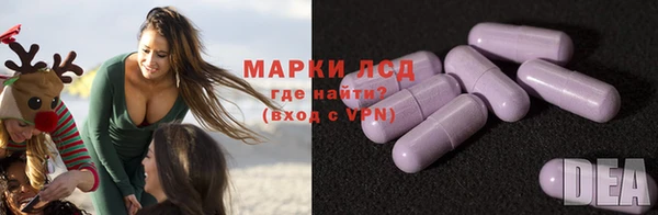 прущие грибы Майский