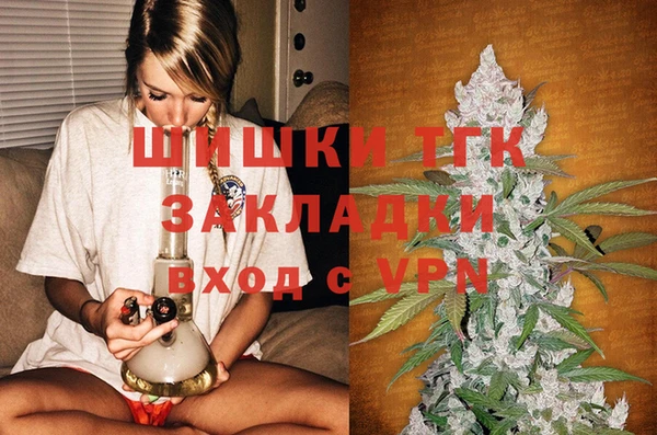 мдпв Магас