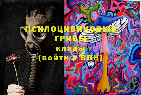 мдпв Магас