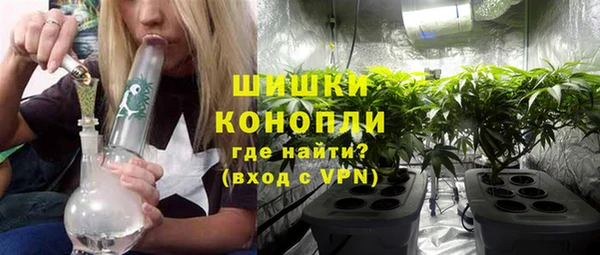 прущие грибы Майский