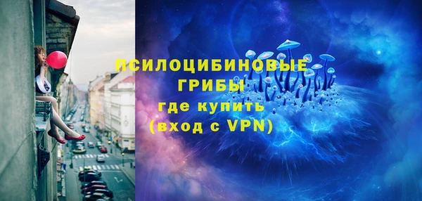 мдпв Магас