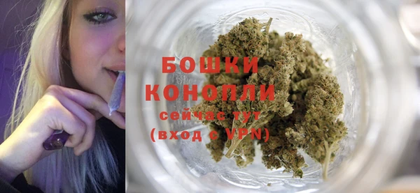 мдпв Магас