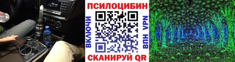 купить   Омутнинск  мега ONION  Псилоцибиновые грибы MAGIC MUSHROOMS 